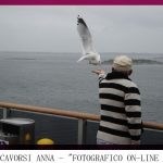 Fotografia online 2010