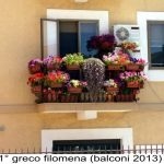 Balconi fioriti 2013